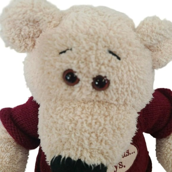 Vintage 2002 GUND Parable Christian Stores MAX Bear Plush God Is With Us Always - Picture 3 of 9